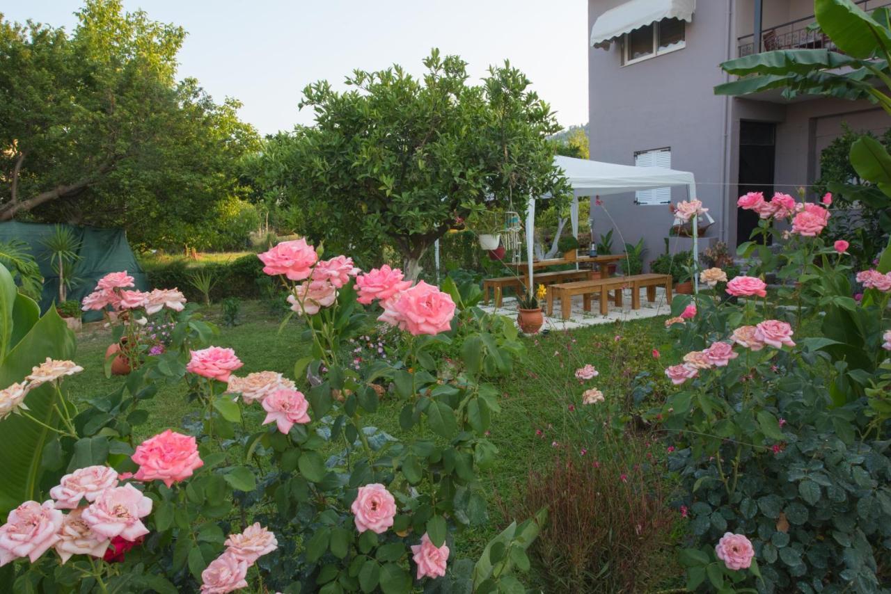 Liovore Apartments ลิเกีย ภายนอก รูปภาพ